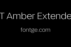 LT Amber Extended