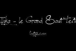 Jellyka - le Grand Saut Textual