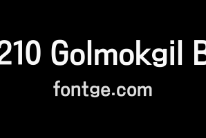 210 Golmokgil B